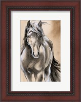 Framed Sketched Horse II
