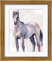 Framed Horse in Watercolor II