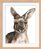 Framed Kangaroo Portrait I