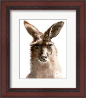 Framed Kangaroo Portrait II