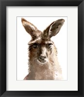 Framed Kangaroo Portrait II