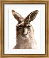 Framed Kangaroo Portrait II