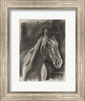 Framed Charcoal Horse Study on Grey I