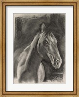 Framed Charcoal Horse Study on Grey I