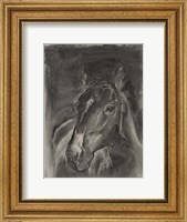 Framed Charcoal Horse Study on Grey II