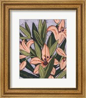 Framed Island Lily I