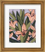 Framed 'Island Lily I' border=