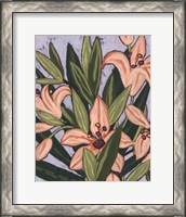 Framed 'Island Lily I' border=
