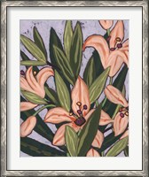 Framed Island Lily I