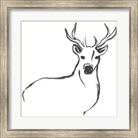 Framed Minimal Deer II
