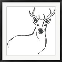 Framed Minimal Deer II