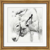 Framed Donkey Portrait III
