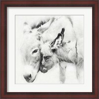 Framed Donkey Portrait III