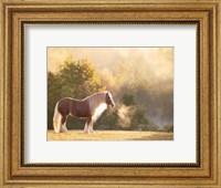 Framed Golden Lit Horse I
