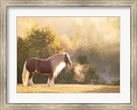 Framed Golden Lit Horse I