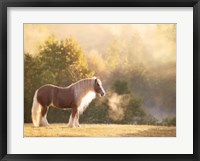 Framed Golden Lit Horse I