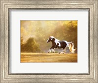 Framed Golden Lit Horse II