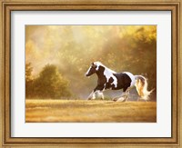 Framed Golden Lit Horse II
