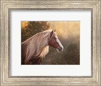 Framed Golden Lit Horse V