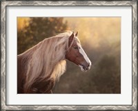 Framed Golden Lit Horse V