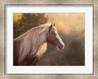 Framed Golden Lit Horse V