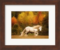 Framed Golden Lit Horse VI