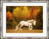 Framed Golden Lit Horse VI