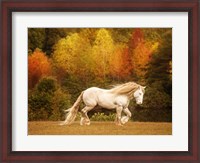 Framed Golden Lit Horse VI