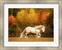Framed Golden Lit Horse VI