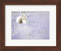 Framed Horse in Lavender II