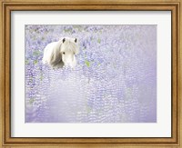 Framed Horse in Lavender II