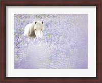 Framed Horse in Lavender II