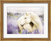 Framed Horse in Lavender III