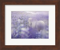 Framed Horse in Lavender IV