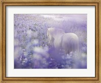 Framed Horse in Lavender IV