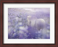Framed Horse in Lavender IV