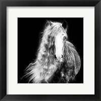 Framed Black and White Horse Portrait I