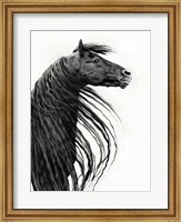 Framed Black and White Horse Portrait II