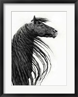 Framed Black and White Horse Portrait II
