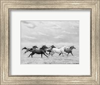 Framed Horse Run I