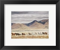 Framed Horse Run II