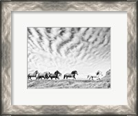 Framed Horse Run III