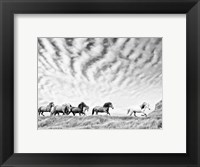 Framed Horse Run III