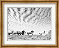 Framed Horse Run III