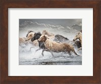 Framed Horse Run IV