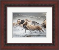 Framed Horse Run IV