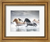 Framed Horse Run V