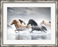Framed Horse Run V