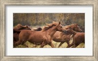 Framed Horse Run VI