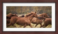 Framed Horse Run VI